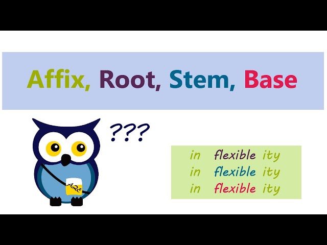 Affix, Root, Stem, Base