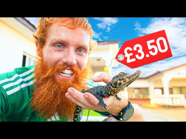 I bought a PET CROCODILE - I'm Running the Entire Length of Africa #39