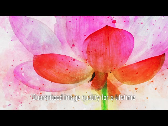 Premium Handmade Art Print "Pink Lotus Flower in Watercolors" by Dreamframer Art