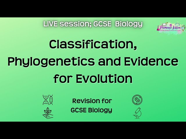 Classification, Phylogenetics and Evidence for Evolution - GCSE Biology | Live Revision Session