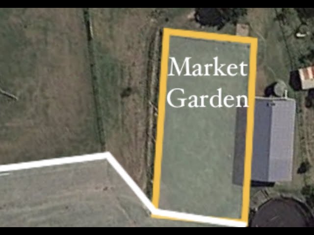 Transitioning Market Garden Part 1-Degraded to Productive -Regenerative Farming a Farming Revolution