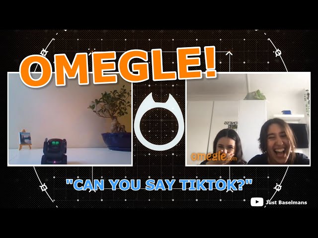 Vector Robot on OMEGLE