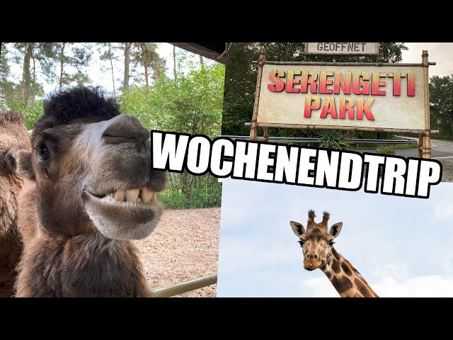 Wochenende im SERENGETI PARK - Ganz nah an Giraffen und anderen Tieren | Jil Schrödel