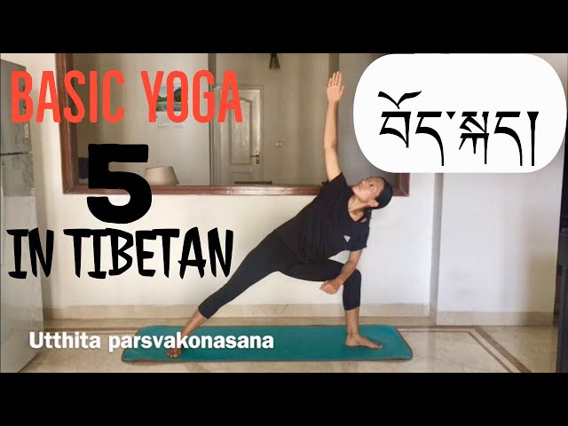 Basic yoga lesson 5 སློབ་ཁྲིད་ལྔ་པ་ standing intermediate asana