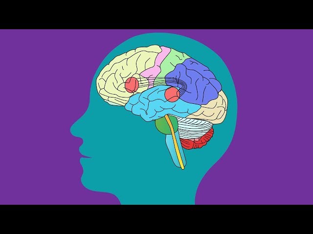 PARTS OF THE BRAIN SONG | Science Music Video