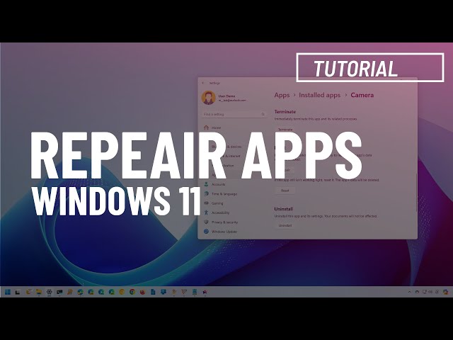 Windows 11 app not working? Here's how to fix it (2 Easy Ways)
