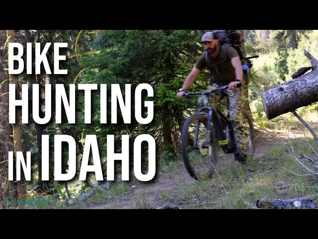 BIKE HUNTING | Joy Ride