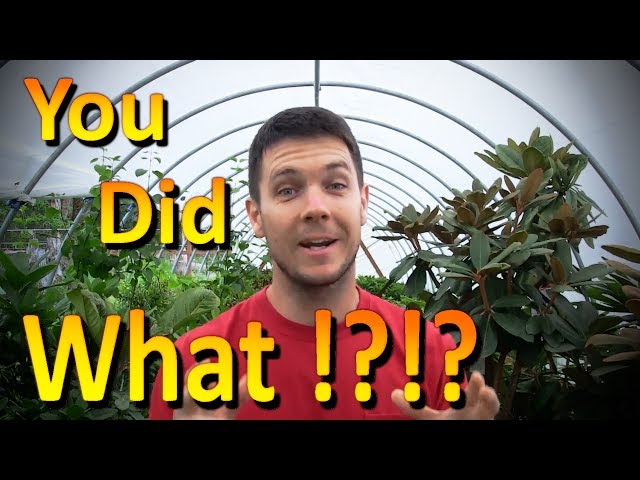 The Best Organic Fertilizer for Plants (Part 1) | It's Free and Urine is Full of Nutrients!