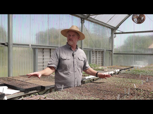 Managing Environmental Conditions to Improve Seedling Quality with Christof Bernau