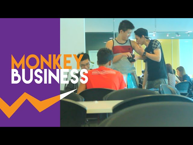 Taylor's University Challenge | Monkey Business
