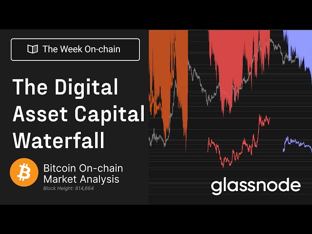 Bitcoin Dominance Season - The Digital Asset Capital Waterfall  - The Week On-chain 44, 2023