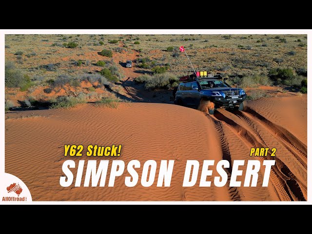 Desert Series Part 2: Hidden Histories & Majestic Encounters in the Simpson Desert