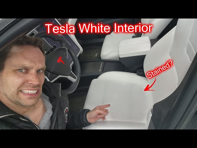 How to Restore White Seats in a 5 Year Old Tesla