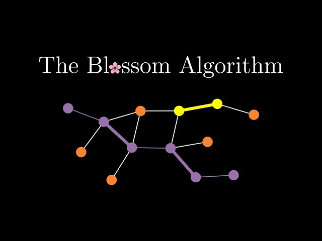 The Blossom Algorithm
