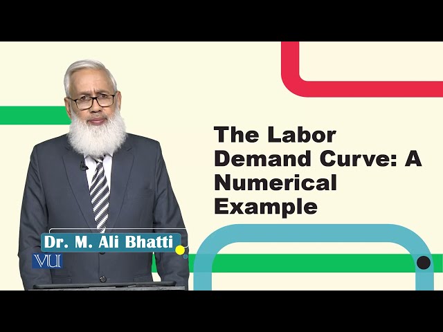 The Labor Demand Curve: A Numerical Example | Macroeconomic Analysis | ECO616_Topic025