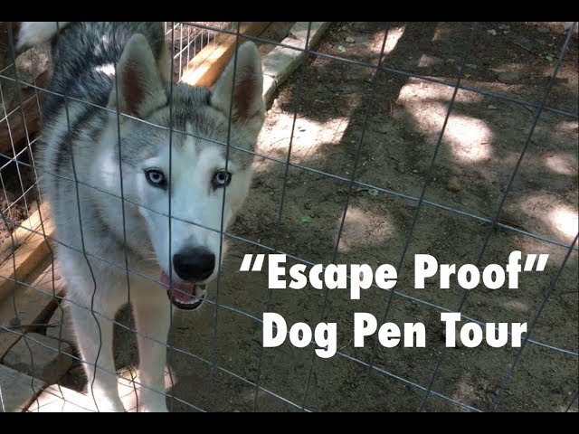 "Escape Proof" Dog Pen Tour