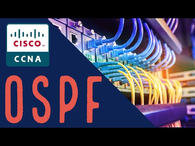 OSPF Network Types | Broadcast and Point To Point Networks
