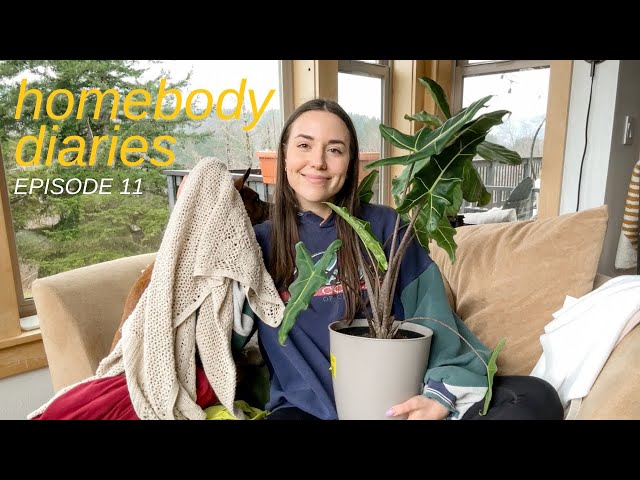 Spending the weekend (mostly) alone + a thrift haul | Homebody Diaries ep 11
