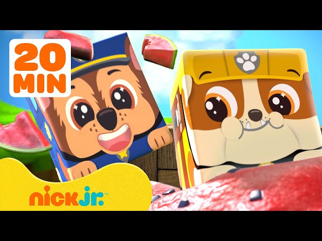 Block Party's Yummy Picnic with Giant Fruit & More Adventures! w/ PAW Patrol | 20 Minutes | Nick Jr.