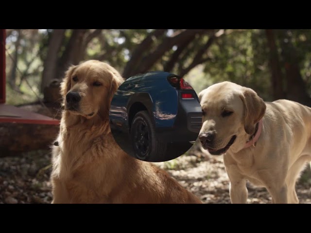 Subaru Dog Tested commercial