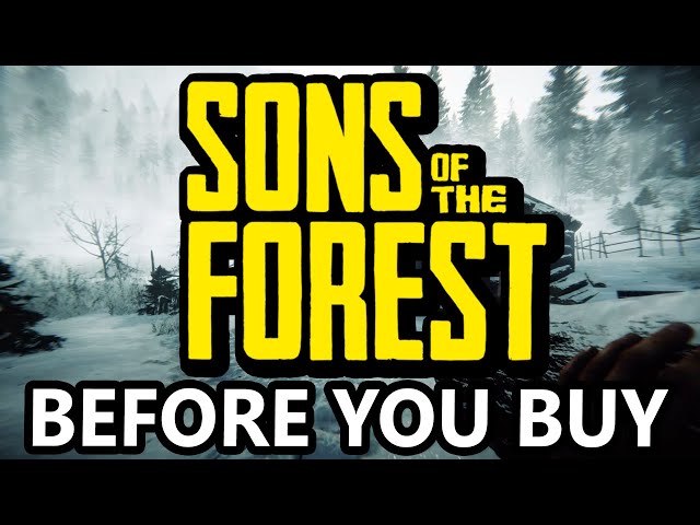 Is Sons of The Forest A Good Sequel?