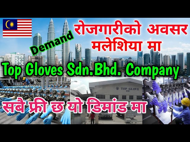 Free Visa Free Ticket In Malaysia | Gloves Company Demand In Nepal | Top Gloves Company Malaysia |