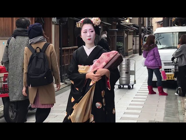 京都・宮川町で舞妓（Maiko）叶幸さんに出会う