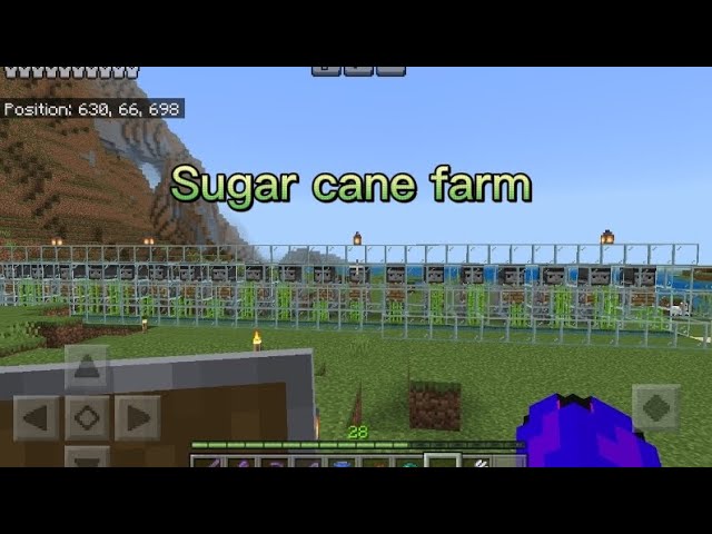 I make sugar cane farm ##Playing Minecraft on YouTube world part 31
