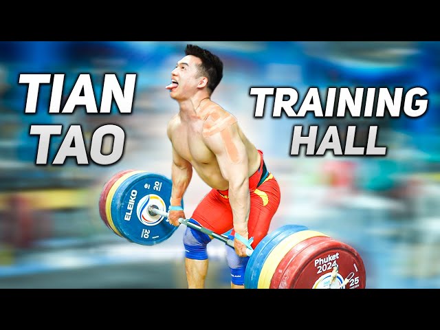 🔥 Tian Tao | FS 240 | Hold 370 | C&J 190 | BS 270 | Training Hall of IWF World Cup 2024