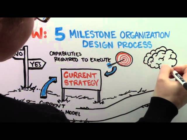 What is Organization Design?