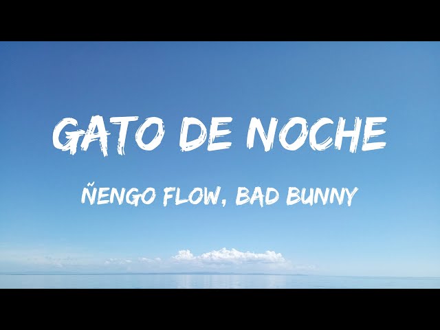 Ñengo Flow, Bad Bunny - Gato De Noche (Letra/Lyrics) - Old Dominion, Doja Cat, Hardy, Morgan Wallen