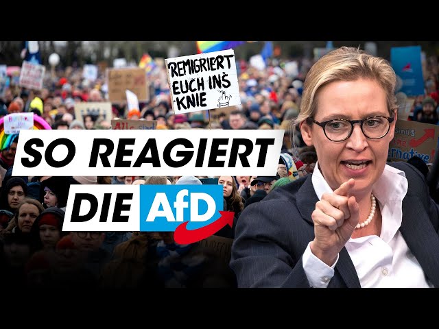 Anti-AfD-Demos: Das bringen sie WIRKLICH!