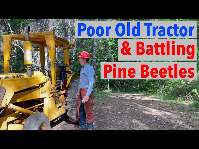 Reducing Pine Bark Beetles & Tractor Getting Old