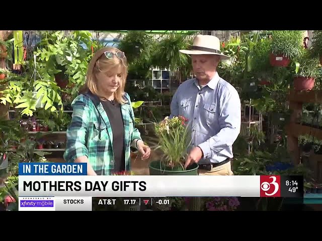 In the Garden: Mothers Day Gifts