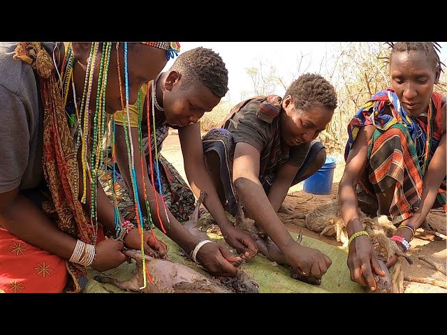 Hadzabe Tribes Women Traditional Cooking Menu Today Rock Hyrax 🇹🇿