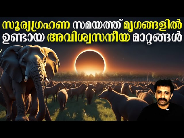 Its Really Shocking: Total Solar Eclipse & Animals || Bright Keralite