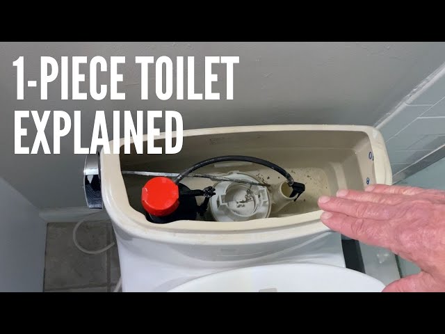 How Is a One Piece Toilet Different Than a Two Piece Toilet | Parts of a One Piece Toto Toilet
