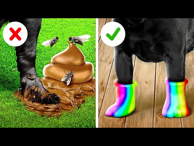 Oh No! 🙀 My Dog Got Dirty 🐶 💓 New Pet Gadgets For Your Furry Friends