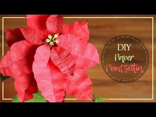 DIY Crepe Paper Pointsettia Flowers