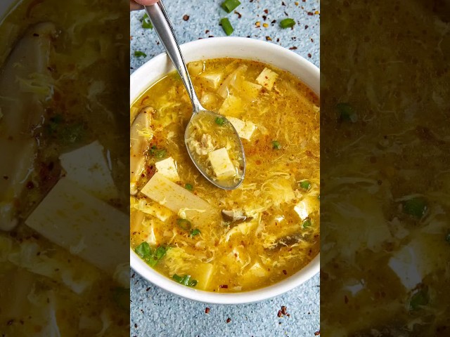 AMAZING Hot and Sour Soup