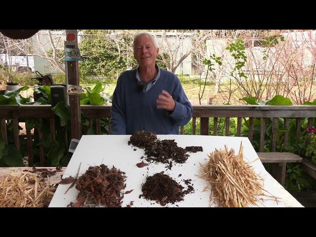 The Power and Virtues of Mulches