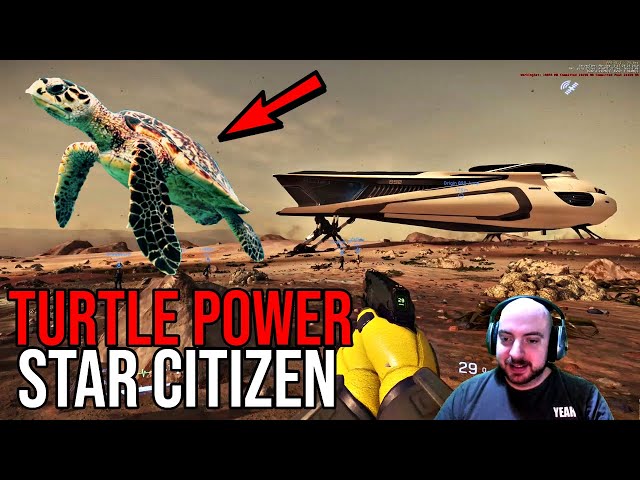 Star Citizen 3.6.2 Gameplay | RELEASE THE TURTLES