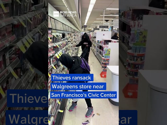 Watch: Thieves ransack Walgreens store near San Francisco's Civic Center
