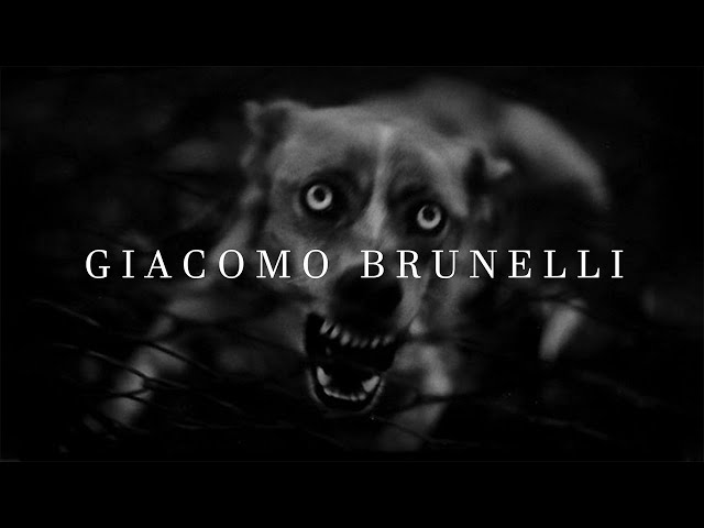 How To Do Animal Street Photography Like Giacomo Brunelli