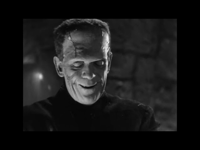 Frankenstein's Monster - An Audioslave Story