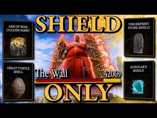I BEAT ALL 165 BOSSES SHIELD ONLY!