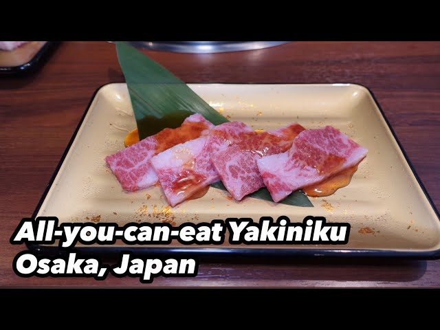【Japan buffet】All-you-can-eat Yakiniku during W Fair! Osaka/Higashi Umeda