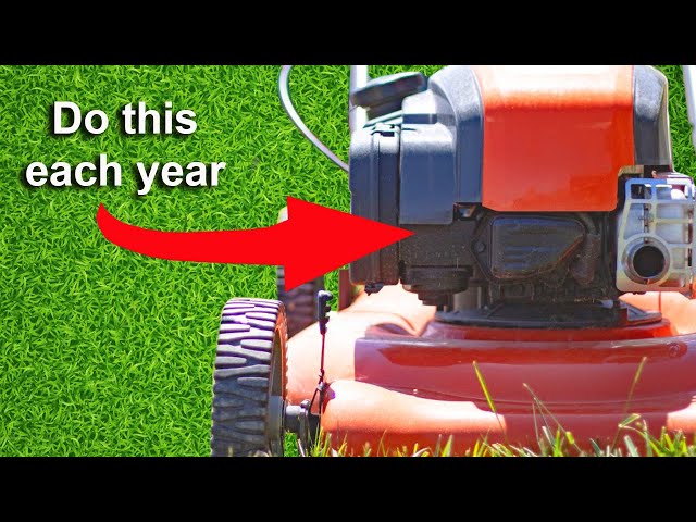 Lawnmowers Needs this Done Every Year to Prevent Damage!!