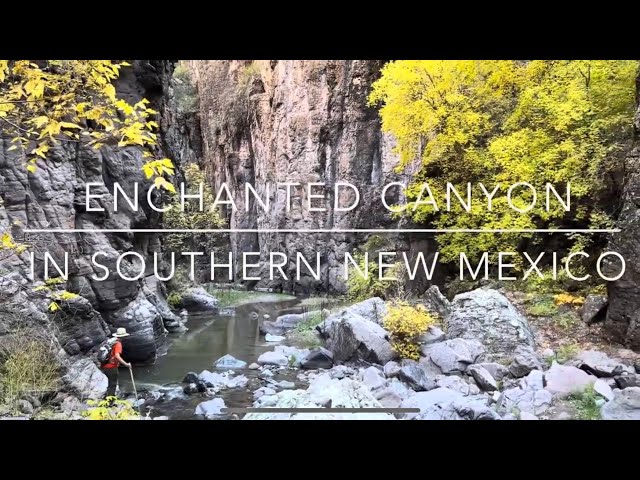 Our Most Spectacular Find Yet? An Enchanted Canyon in Southern New Mexico!
