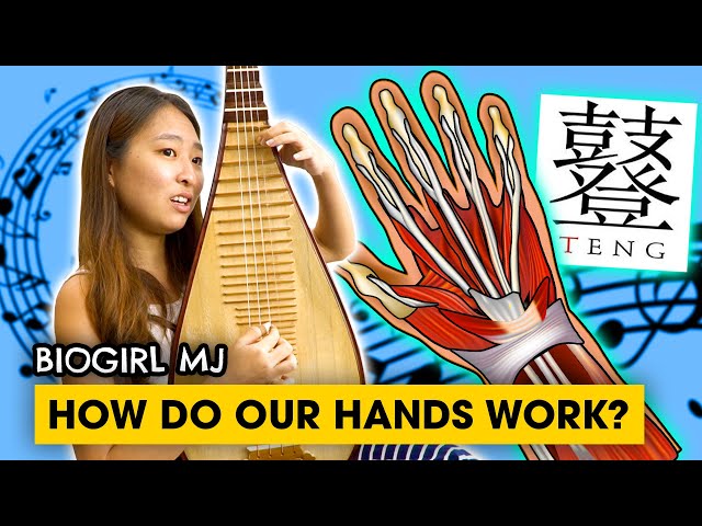 Why are our hands so incredible! | Biogirl MJ (Ft. The TENG Ensemble)